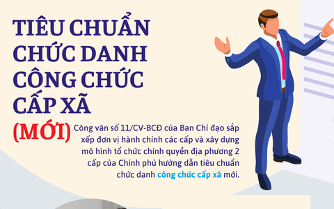 Công chức cấp xã từ trình độ đại học trở lên, tiêu chuẩn công chức cấp xã mới