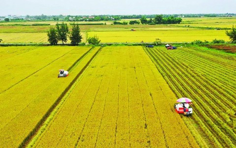Miễn thuế sử dụng đất nông nghiệp đến hết năm 2030