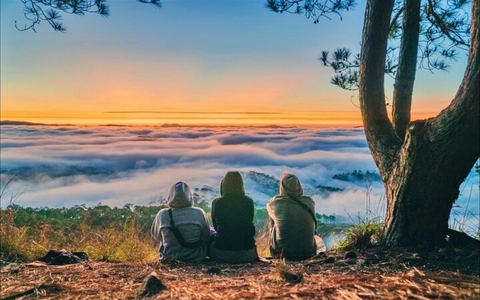 Đà Lạt được đánh giá là điểm đến mùa hè 2025 giá phải chăng, giàu bản sắc văn hoá nhất châu Á