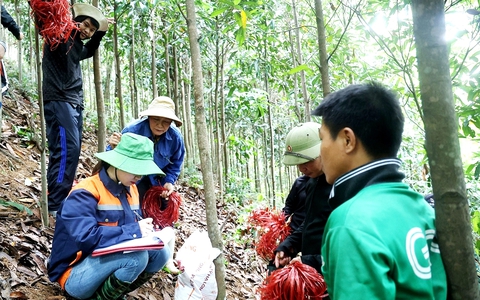 Lào Cai lập 2 tổ công tác chuyên trách đất đai đẩy nhanh giải phóng mặt bằng tuyến đường sắt tốc độ cao