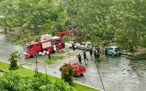 Áp thấp nhiệt đới gây mưa ảnh hưởng thế nào?