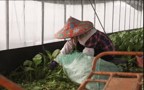 Khoản chi cho lao động yếu thế được miễn thuế