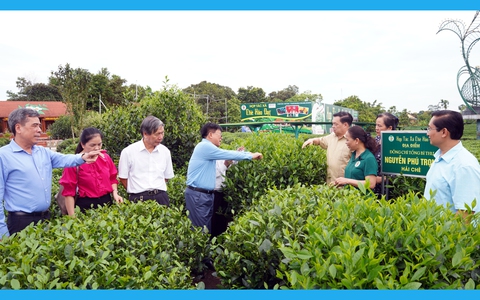 Khảo sát công trình xét giải "Khuyến học - Tự học thành tài": Ống diệt men chè Thái Nguyên