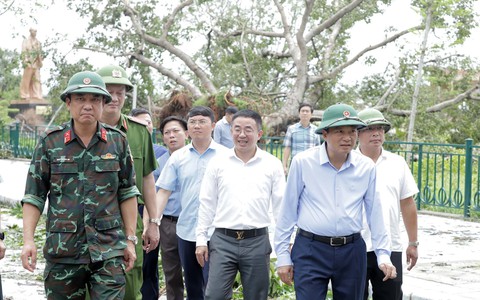Chủ tịch Nghệ An kiểm tra 2 cây đa 'đặc biệt' ở Kim Liên bị bão quật ngã