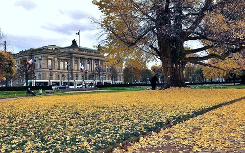 Lạc lối ở Strasbourg, thành phố cổ kính, ưu tư của Pháp