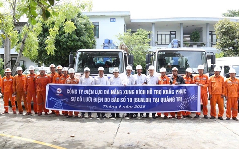 Khẩn trương, quyết liệt khắc phục sự cố lưới điện tai các khu vực bị ảnh hưởng bão số 10