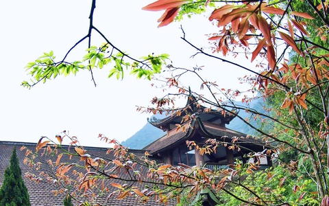 Mùa thu xao xuyến trên non thiêng Yên Tử