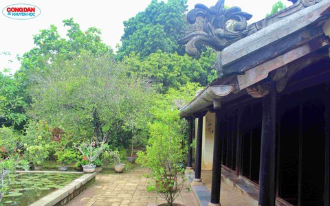 Vườn An Hiên, "vưu vật xứ Huế" vào phim Mưa Đỏ