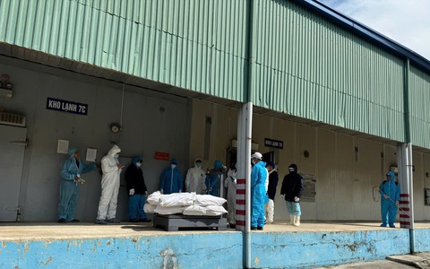 Tạm dừng sản xuất tại Nhà máy Đồ hộp Hạ Long - Hải Phòng