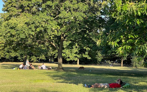 Công viên xanh cũng tiềm ẩn mầm bệnh ung thư, vì đâu?