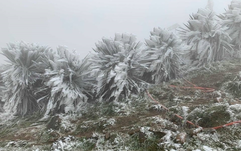Miền Bắc sắp kết thúc đợt rét đậm, đón mưa phùn, nồm ẩm