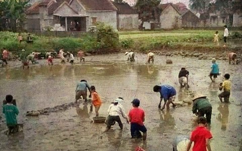 Giáp Tết, ký ức tát cá ao làng thời bao cấp