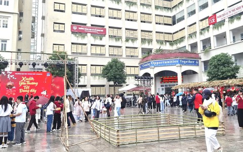 Sắp xếp lại đại học chuẩn hóa theo 5 tiêu chí, 4 hình thức