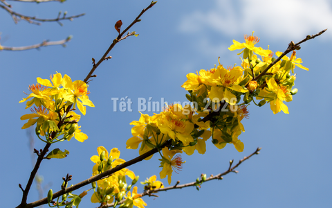 Thời tiết 10 ngày tới: Kỳ nghỉ Tết kết thúc trong nắng ấm