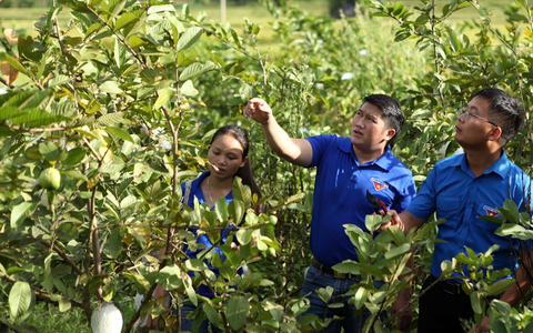 Học sinh, sinh viên sẵn sàng làm chủ tương lai với chương trình hỗ trợ khởi nghiệp 2026 – 2035