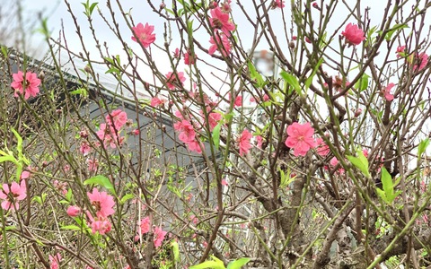 Thời tiết 10 ngày tới: Miền Bắc sắp đón đợt rét đậm