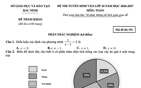 Đề thi thử vào lớp 10 môn Toán của Bắc Ninh năm 2026