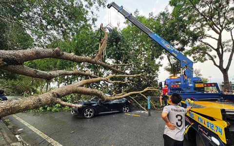 Dông lốc làm hư hại gần 60 ngôi nhà ở Lào Cai, 1 công nhân môi trường bị thương