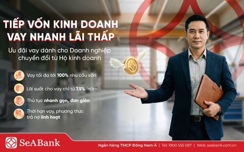 Nghịch lý “lính mới”: Kinh doanh nhiều năm vẫn khó vay vốn sau khi chuyển đổi doanh nghiệp