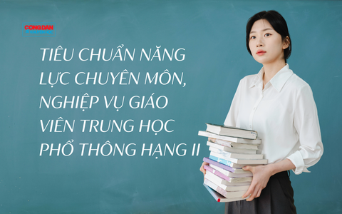 Tiêu chuẩn năng lực chuyên môn, nghiệp vụ giáo viên trung học phổ thông hạng II có gì mới?