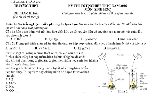 Đề thi thử tốt nghiệp trung học phổ thông năm 2026 môn Sinh học của Lào Cai