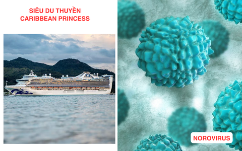 Norovirus: Nỗi ám ảnh của những hải trình triệu đô
