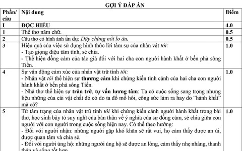 Đọc hiểu thơ trữ tình, viết đoạn văn nghị luận văn học và bài văn nghị luận xã hội