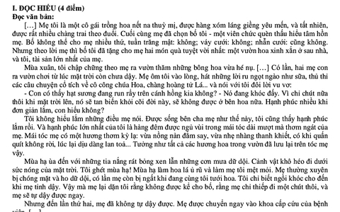 Đọc hiểu truyện ngắn, viết đoạn văn nghị luận văn học và bài văn nghị luận xã hội