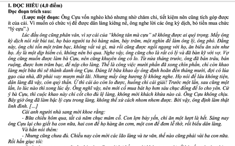Đọc hiểu phóng sự, viết đoạn văn nghị luận văn học và bài văn nghị luận xã hội
