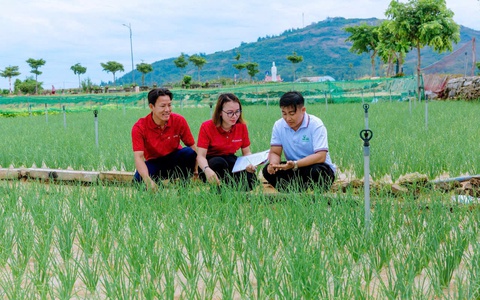 Agribank -Từ dòng tín dụng chủ lực đến chiến lược “Phụng sự từ trái tim” (Kỳ 1)