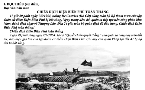 Đọc hiểu văn bản thông tin, viết đoạn văn nghị luận xã hội và bài văn nghị luận văn học
