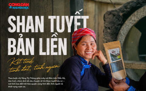 Hương trà Shan tuyết Bản Liền - kết tinh tình đất, tình người