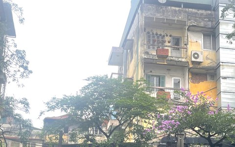 Những mùa bình thường ở khu tập thể cũ