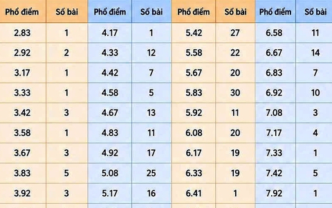 Giải mã những con điểm “lạ” Ngữ văn kỳ thi tốt nghiệp trung học phổ thông
