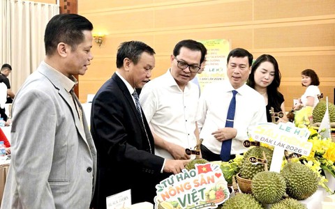 Lễ hội Sầu riêng Đắk Lắk năm 2026 với chủ đề "Sầu riêng Đắk Lắk - Kết nối vươn xa"