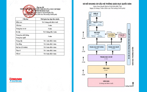 Quyết định 38/2026/QĐ-TTg của Chính phủ quy định Khung cơ cấu hệ thống giáo dục quốc dân