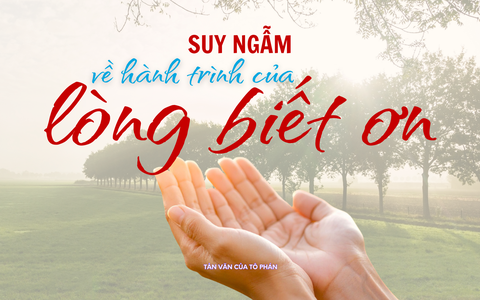 Suy ngẫm về hành trình của lòng biết ơn