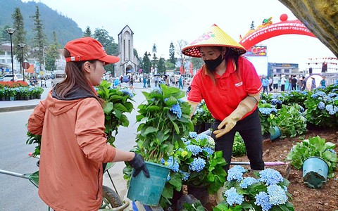 Phong trào "Sa Pa Green" - chiến lược cải thiện môi trường, chất lượng dịch vụ cho Sa Pa