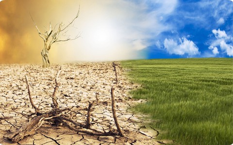 Kỷ lục nhiệt độ tại Âu Châu, hệ lụy lo ngại từ El Niño