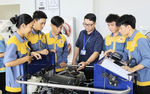 Người đứng đầu cơ sở giáo dục nghề nghiệp được xác định số lượng tuyển sinh hằng năm