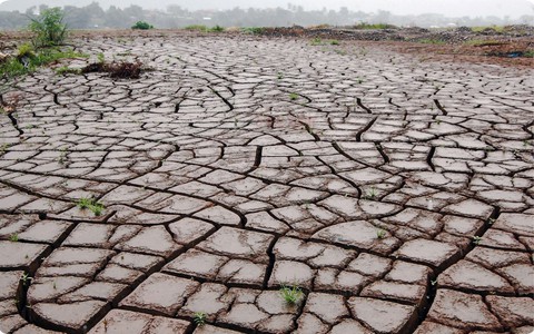 Nhiệm vụ của các Bộ, ngành ứng phó với tác động của El Nino