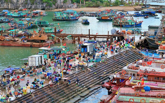 Chợ cá Cái Rồng, Vân Đồn - Bình minh muôn sắc trên biển trời Đông Bắc