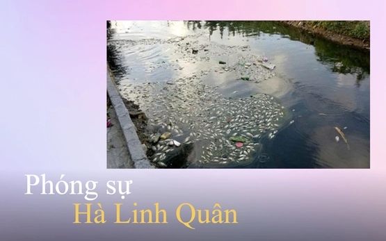 Nông thôn mới không thể ..."ăn" nước "cũ"!