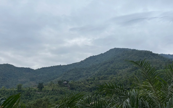 Gió mùa, không khí lạnh bao phủ miền Bắc