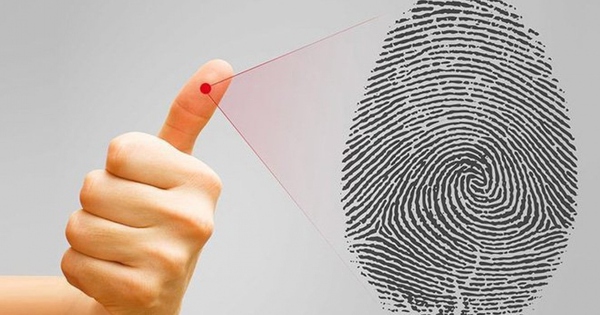 Sinh trắc vân tay - khoa học hay ngụy khoa học?